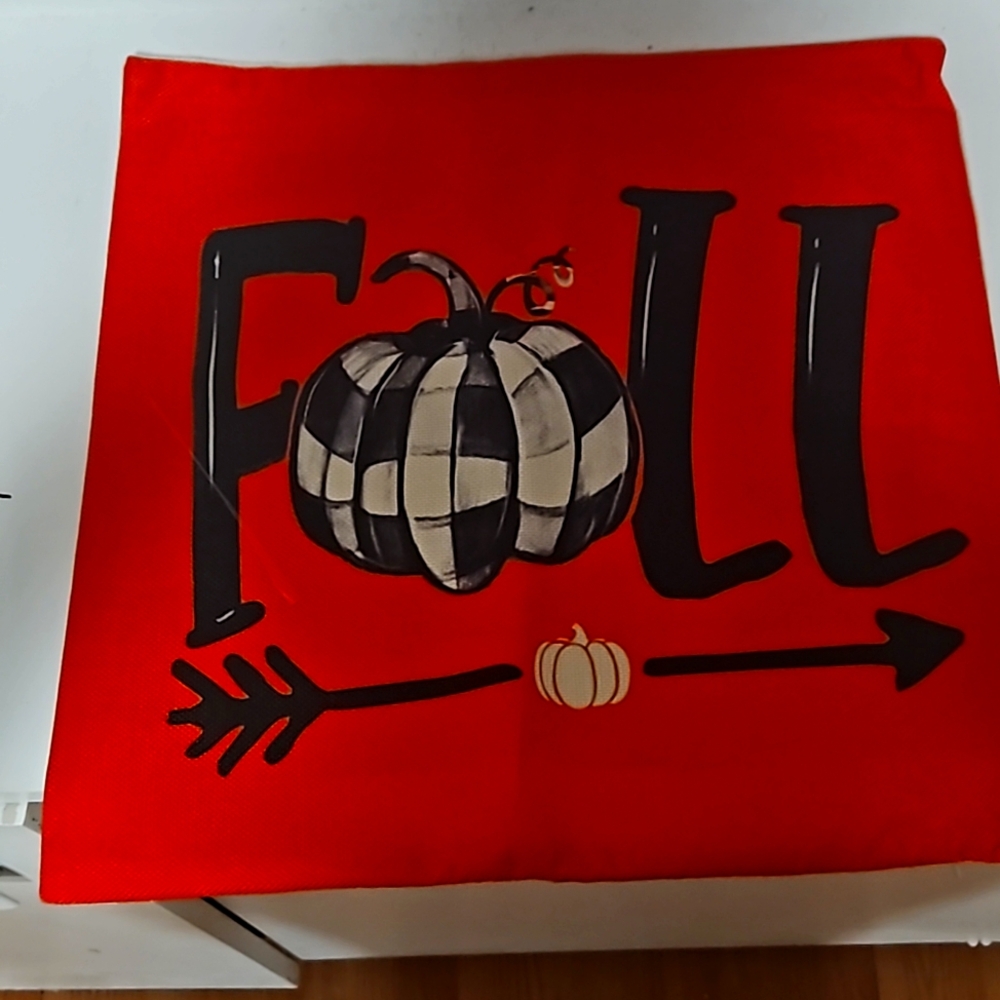 Accent Pillow throw cover